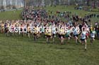 Boys under-13s 2016 Inter Counties Cross Country Champs. and Cross Challenge Final, Cofton Park, Birmingham. Photo: David T. Hewitson/Sports for All Pics